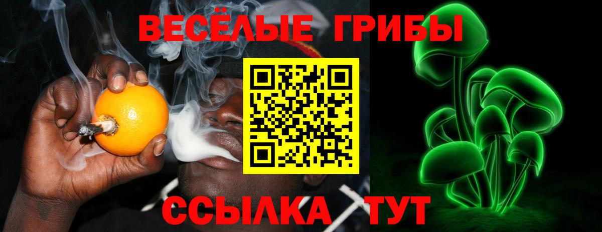 Наро-Фоминск  Галлюциногенные грибы Psilocybe  магазин    Псилоцибиновые грибы ЛСД  Вход с VPN 